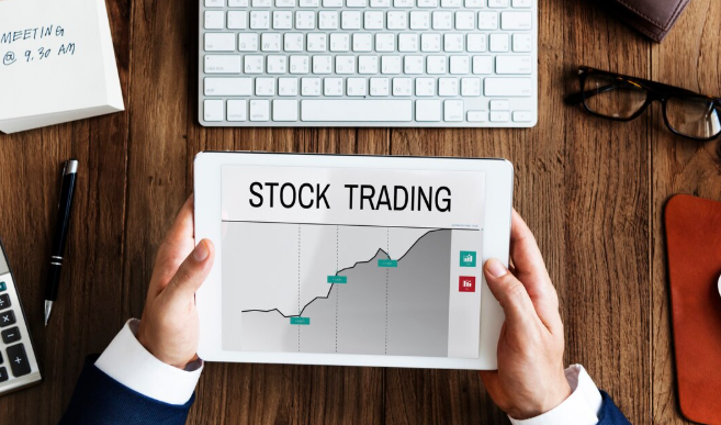 bull stock